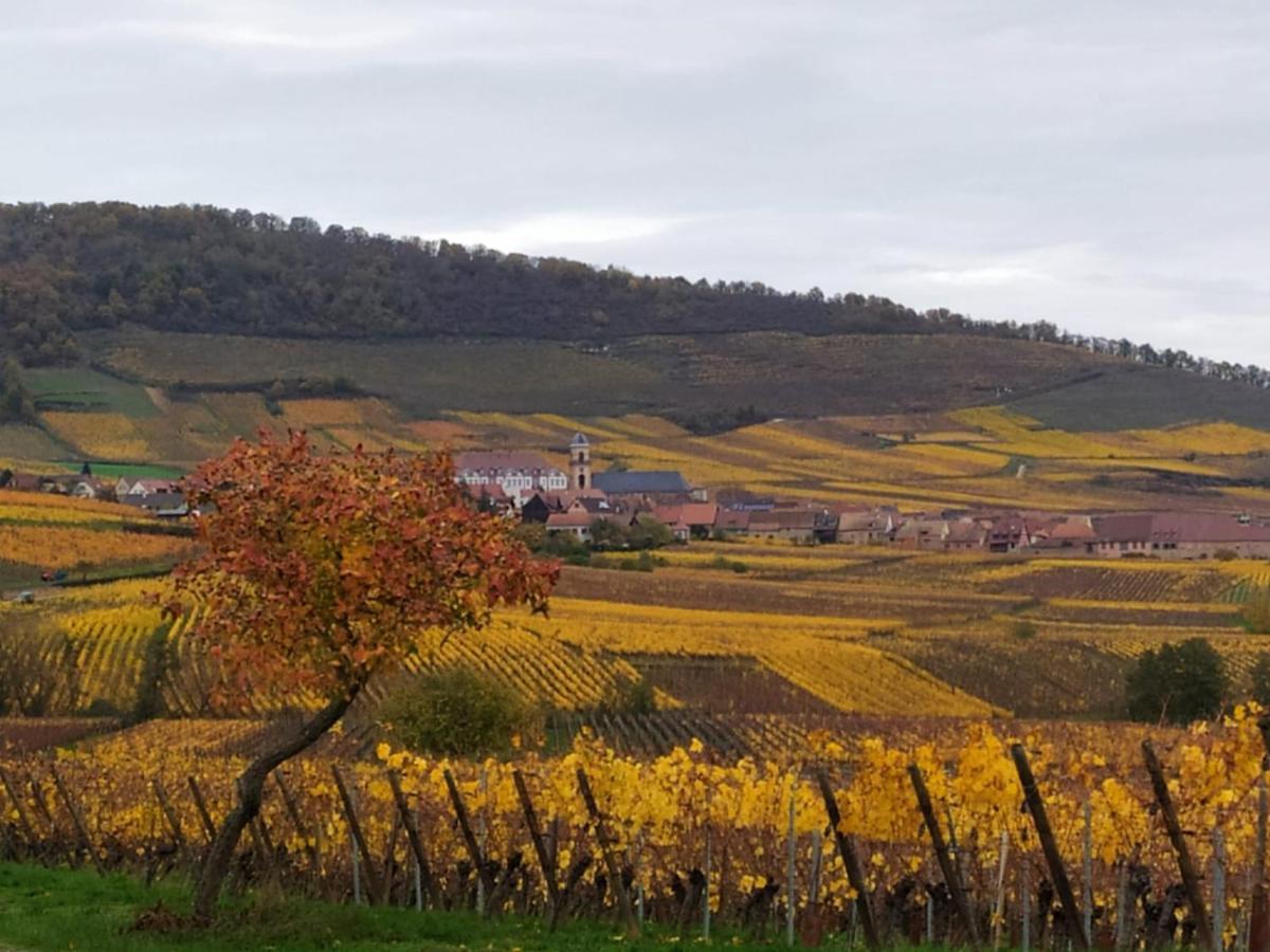 Le Bubele Au Coeur Du Centre Medieval Et Vignoble Рибовілле Екстер'єр фото